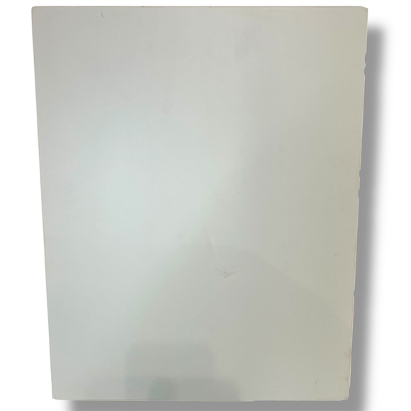 Chicago White Sox Buckingham Fountain Foam Board Print Go Sox Skyline NO‎ FRAME - Picture 2 of 9